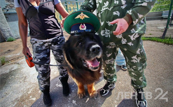    © Анастасия Илюшина для ЛенТВ24