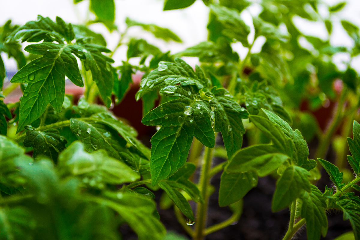 Designed by Freepik. Источник: www.freepik.com