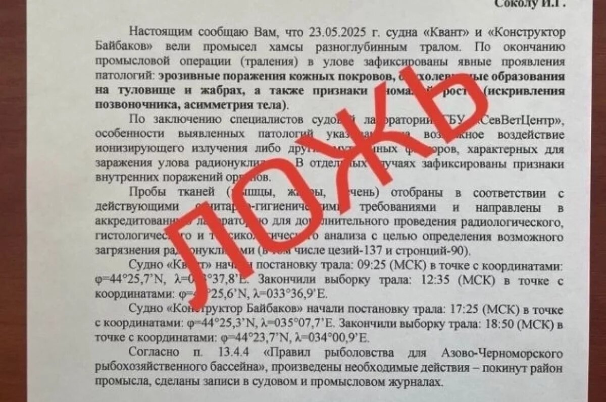   Михаил Развожаев опроверг фейк о зараженной хамсе в Севастополе