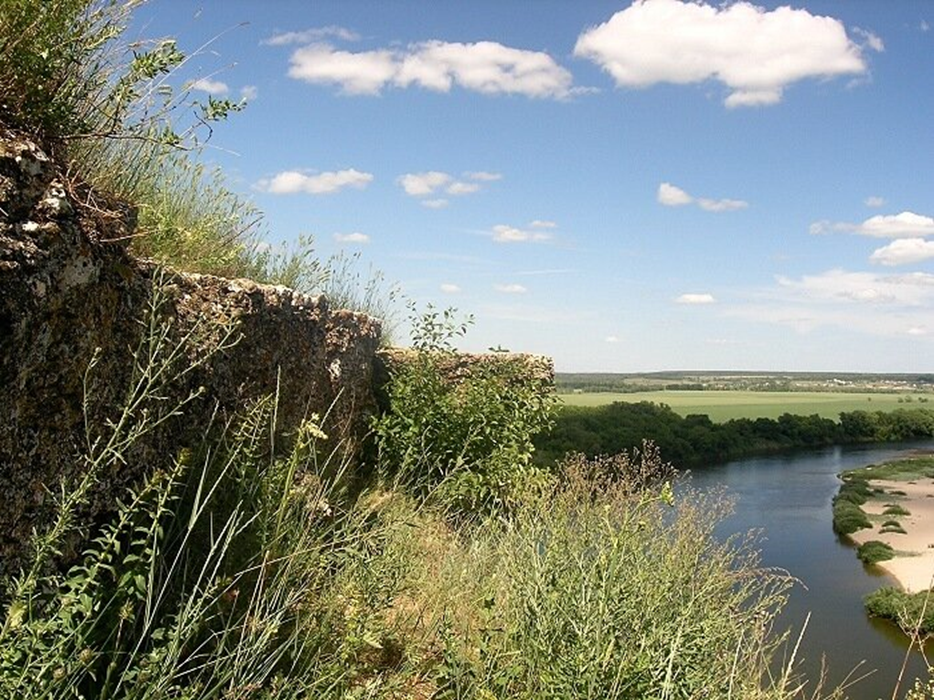 Заповедник "Галичья гора" Липецкая область. Северная граница альпийской растительности.