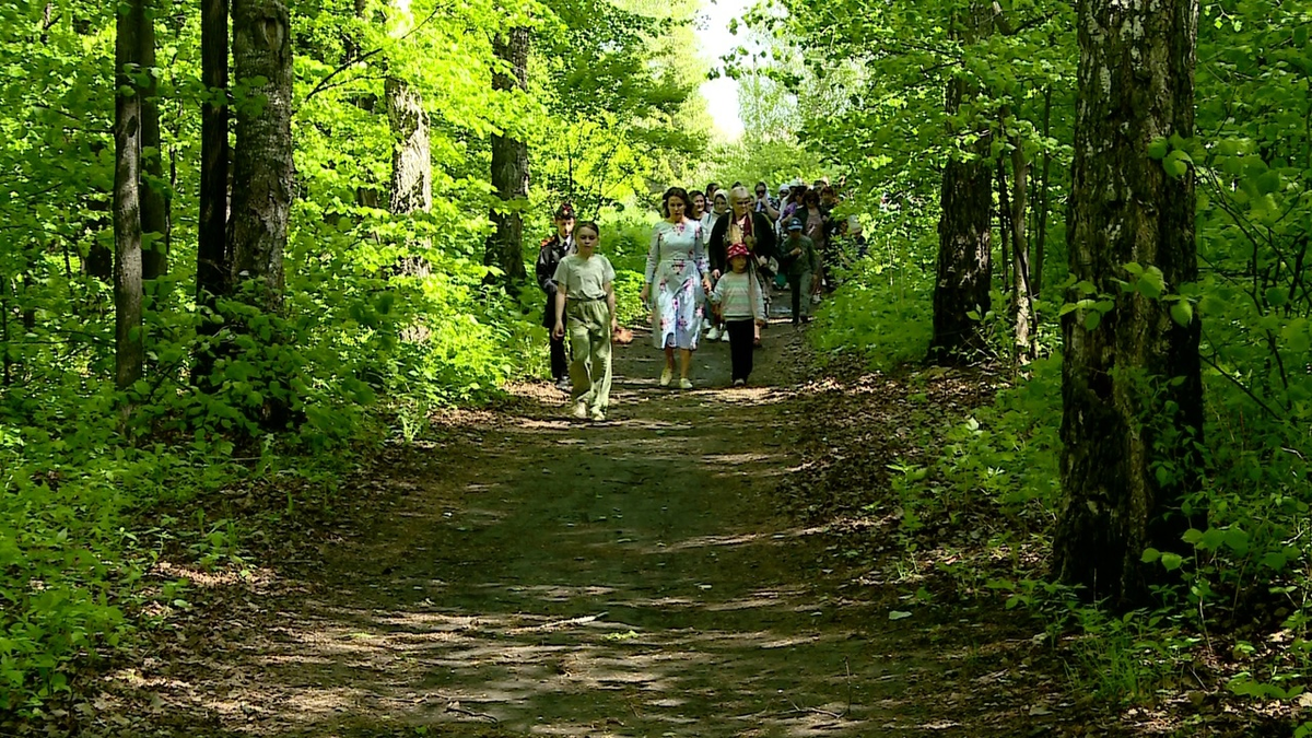 Старый парк в с. Кулаково - наследие купца Н. М. Чукмалдина