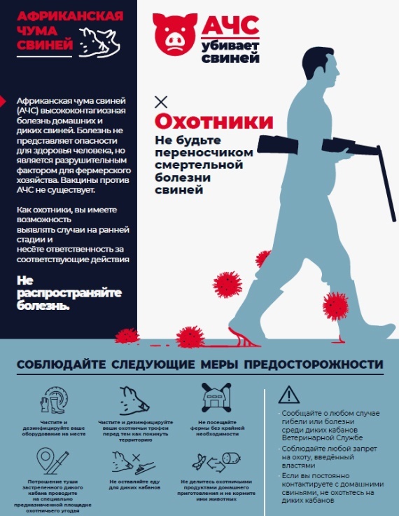 Фото: Минприроды Карелии  📷
