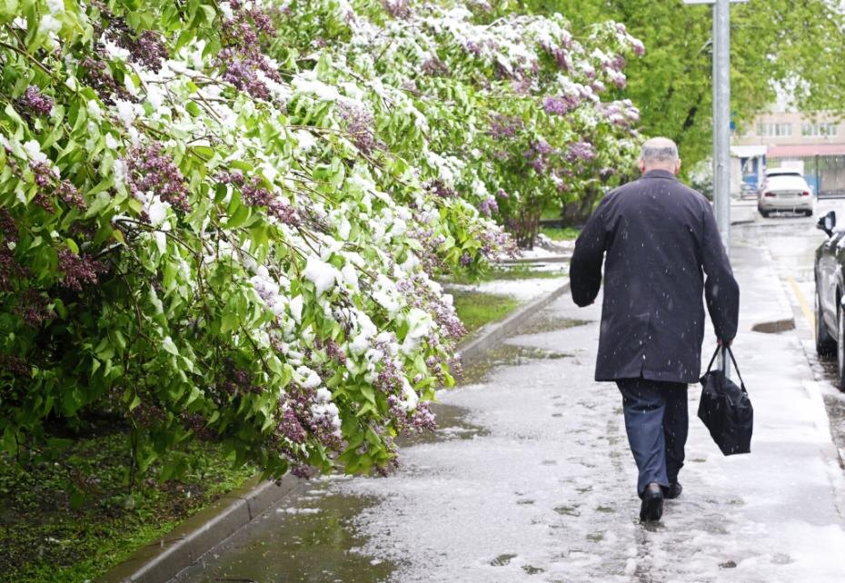    Михаил Воскресенский/РИА Новости