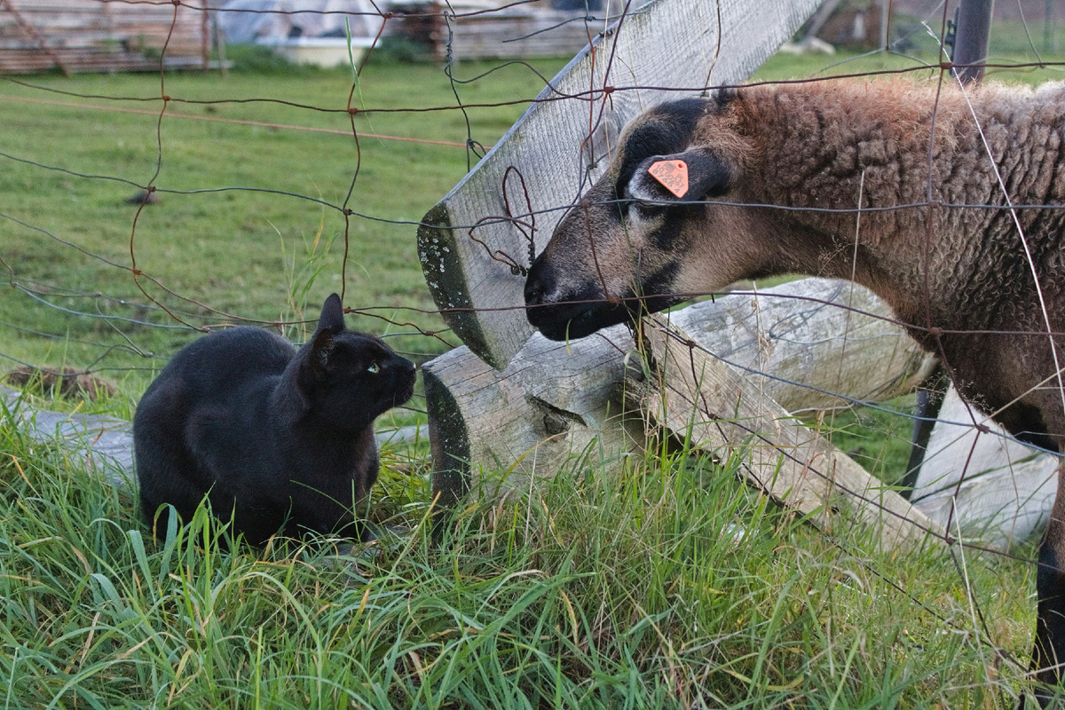 "С кем-то разительно не таким — Назиданиям моим и своему опыту вопреки, Когда на ночь отгремят засовы у каждой двери,Вы сядете поговорить."(с) Фото: Unsplash
