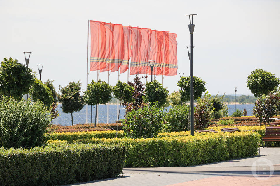    Фото: Дмитрий Рогулин / "Городские вести"