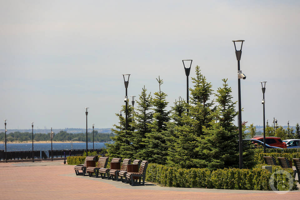    Фото: Дмитрий Рогулин / "Городские вести"