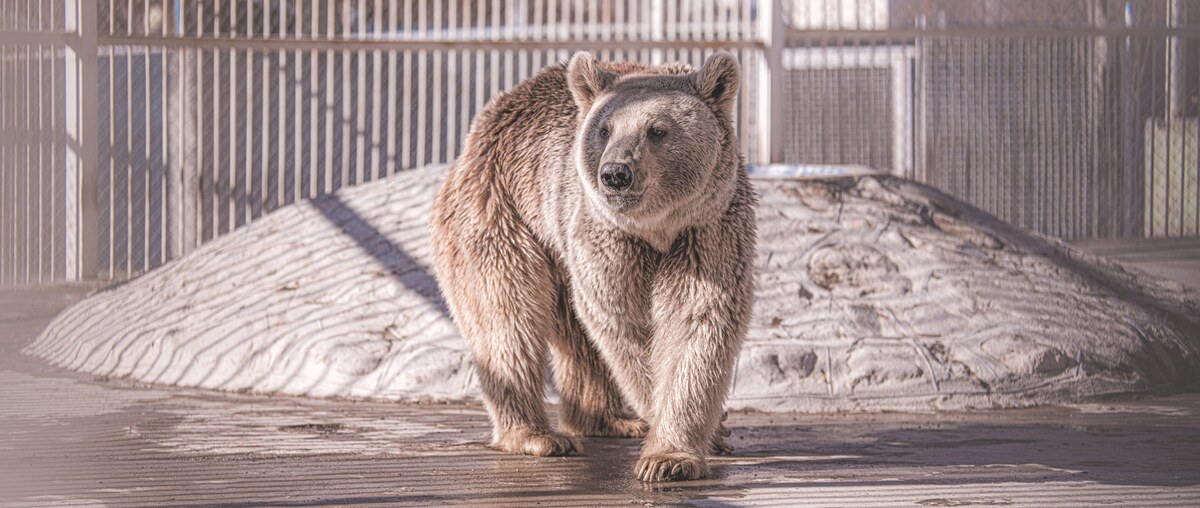Изображение взято из открытых источников. 