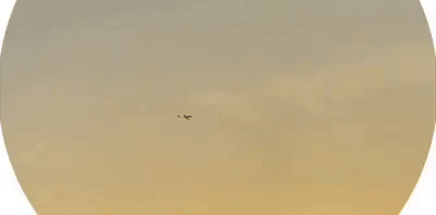    Сбитые БПЛА противника над Московской областью//Видео с ТГ-канала военного блогера Кирилла Фёдорова