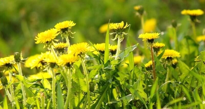 Фото: Правительство Челябинской области