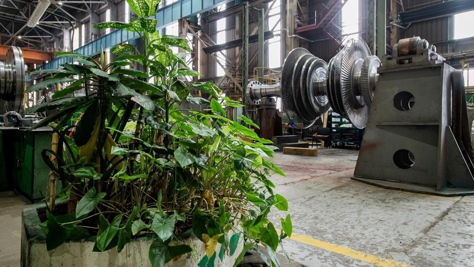    Автор фото: Ермохин Сергей