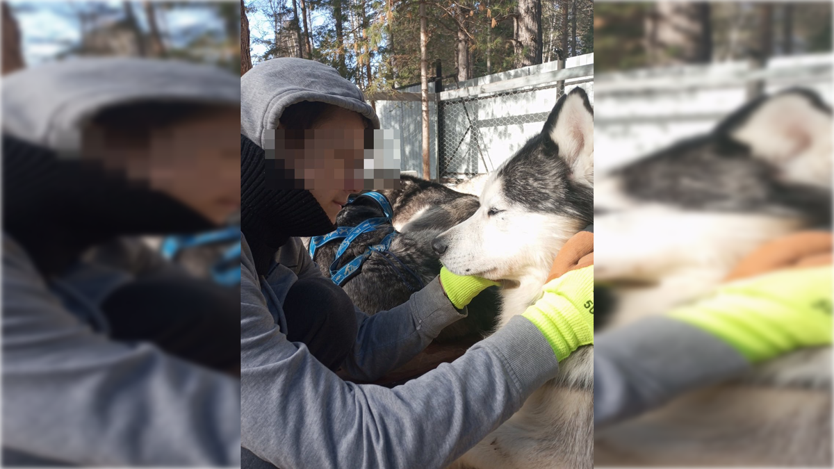 Фото подозреваемого: РЕН ТВ