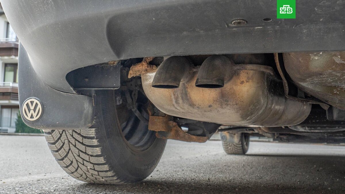    Фото: IMAGO / Michael Kristen / ТАСС