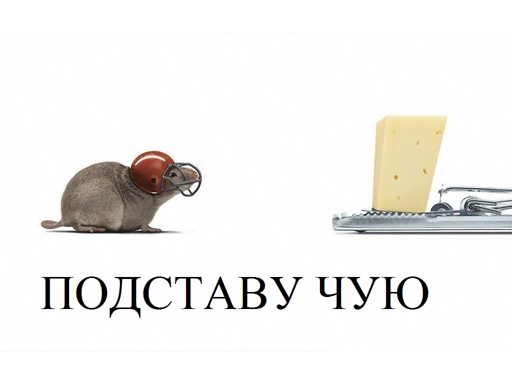 Картинка из открытых источников.