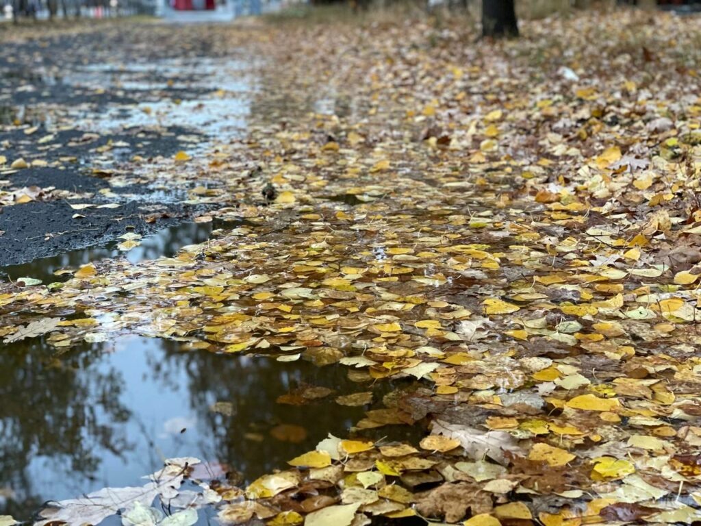    Константин ТЕРЕХОВ