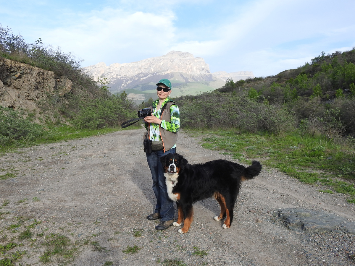 Окрестности озера Гижгит, Кабардино-Балкария