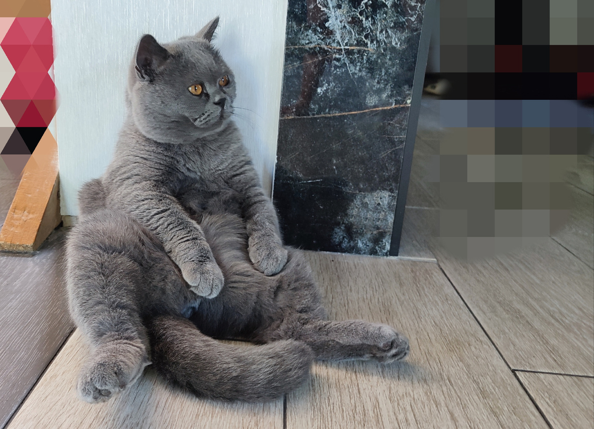 Мвртин наелся, присел отдышаться