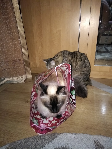 Тимофей и Маруся