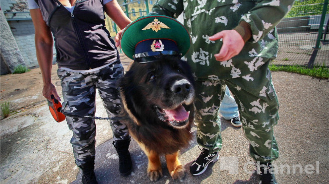 Фото: Анастасия Илюшина/47channel