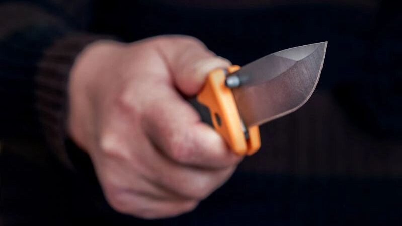    Фото: MVolodymyr/Shutterstock/Fotodom