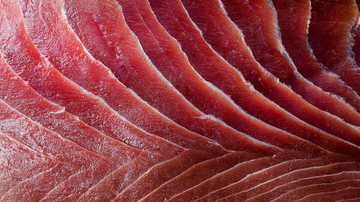    Фото: Shutterstock