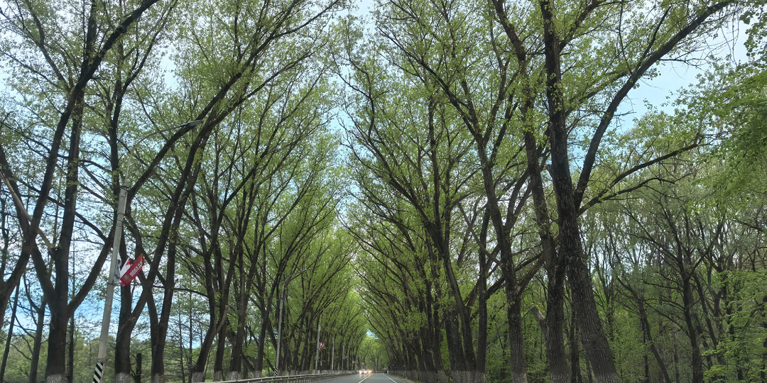 Дорога на дачу.