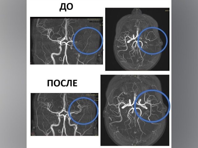    Фото: mz.mosreg.ru