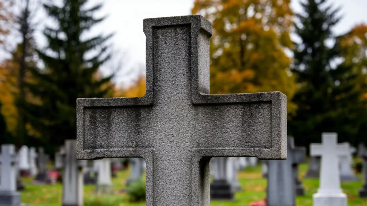    Сгенерировано ИИ