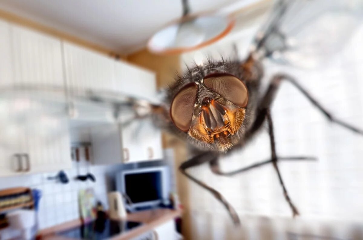    Касание может быть фатальным.