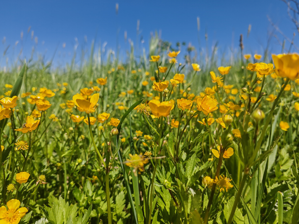 Фото автора канала. 