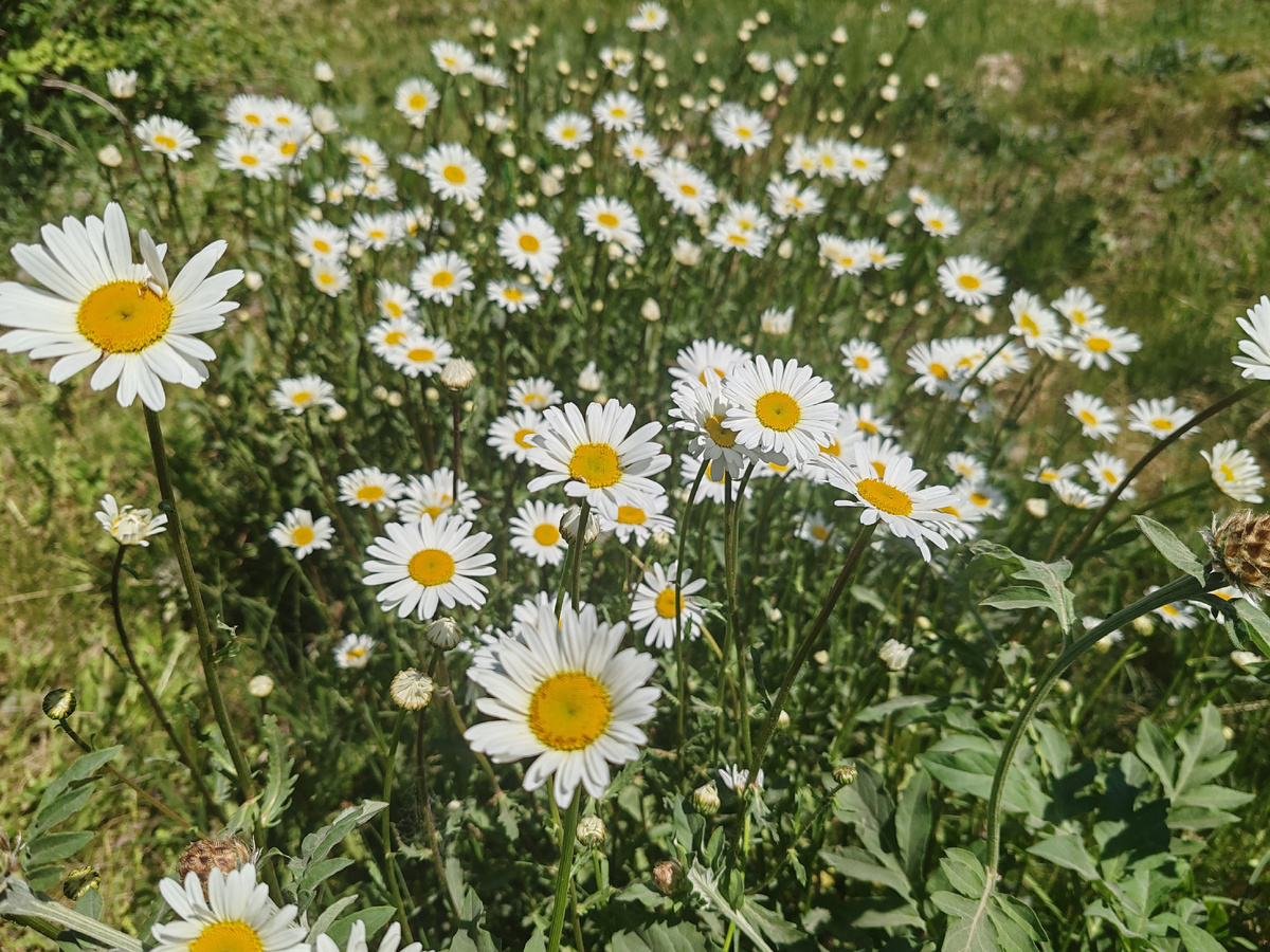 Фото автора канала. 