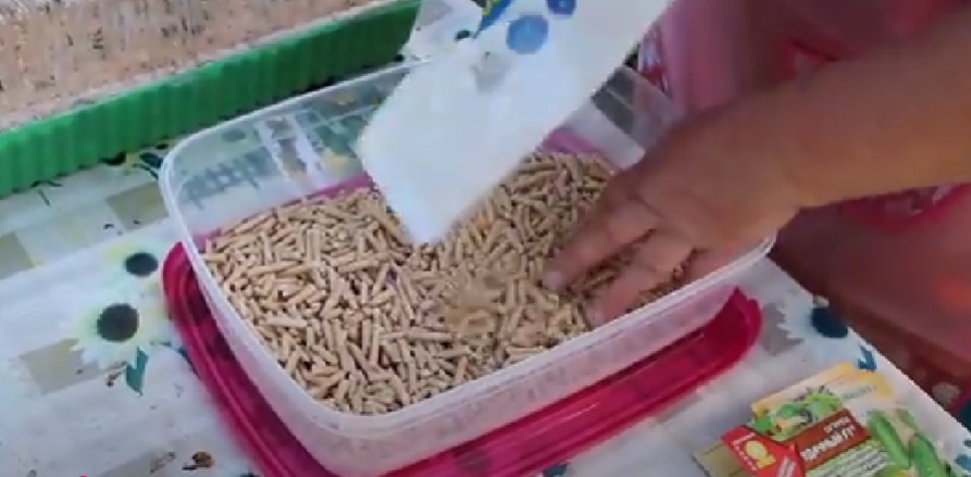 Фото из личного архива