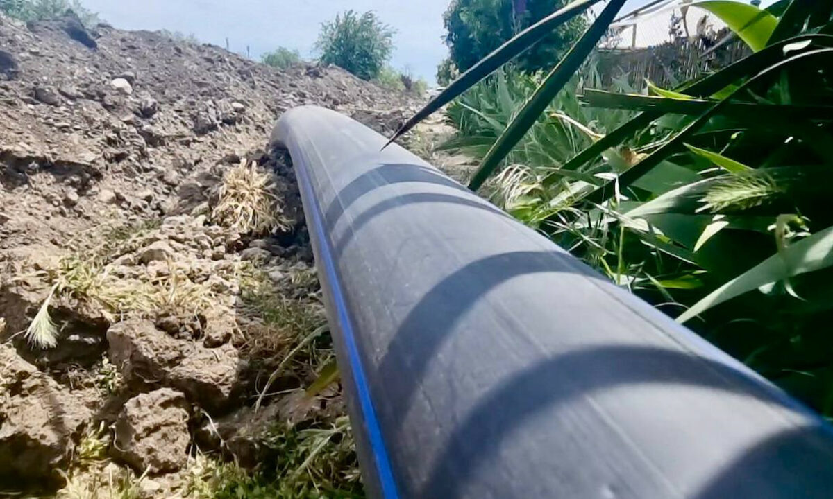    Фото пресс-службы администрации Краснодарского края