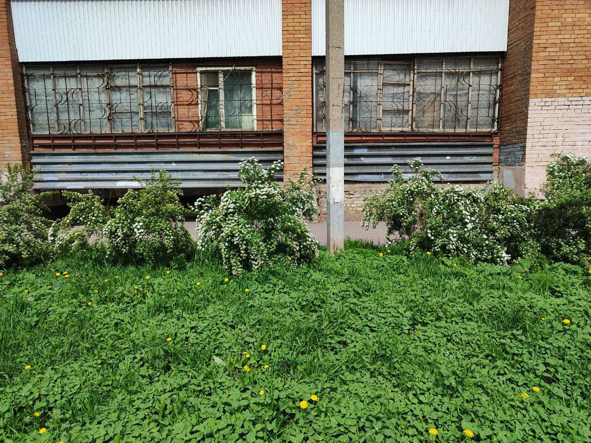 Фото автора.