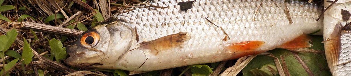    Фото: Сергей Егоров