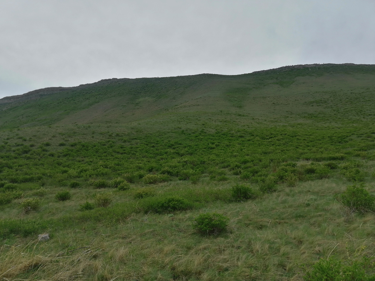 Склон горы Нос. 