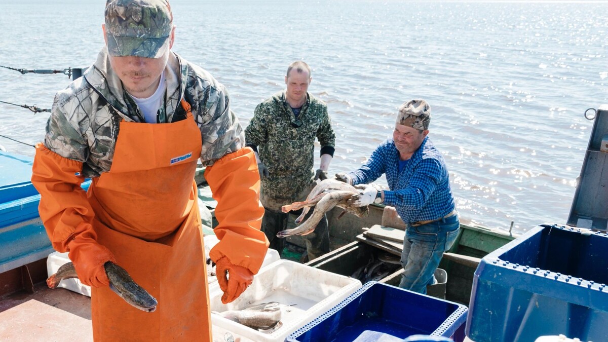    Фото: Андрей Ткачев/«Ямал-Медиа»