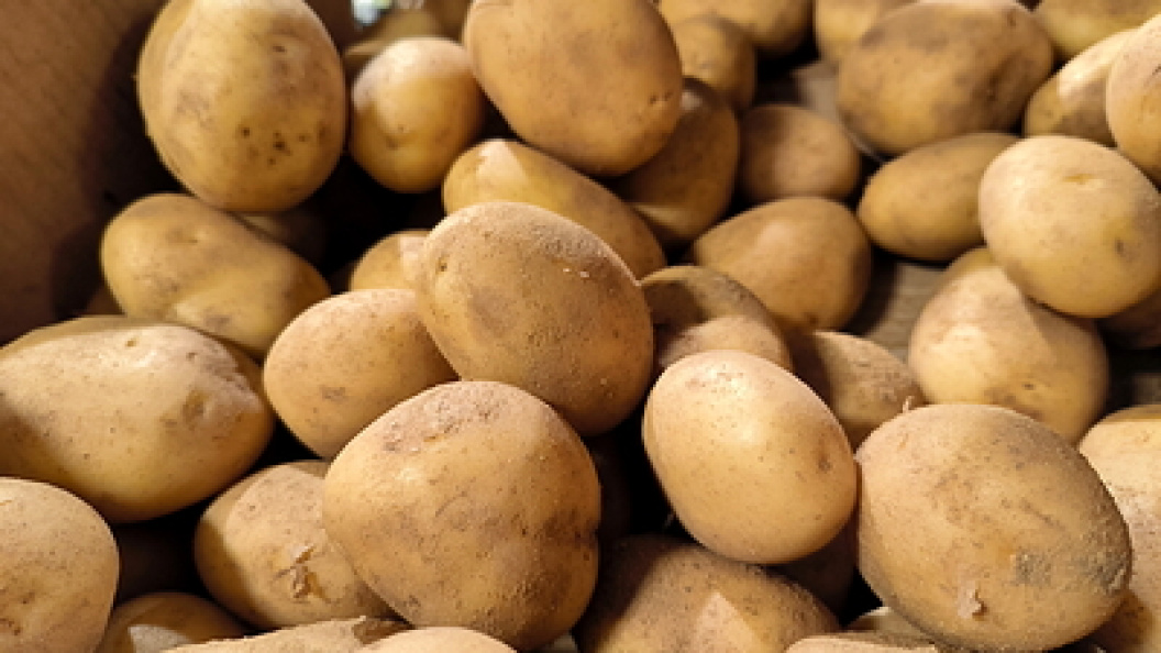    Maksim Konstantinov/Globallookpress