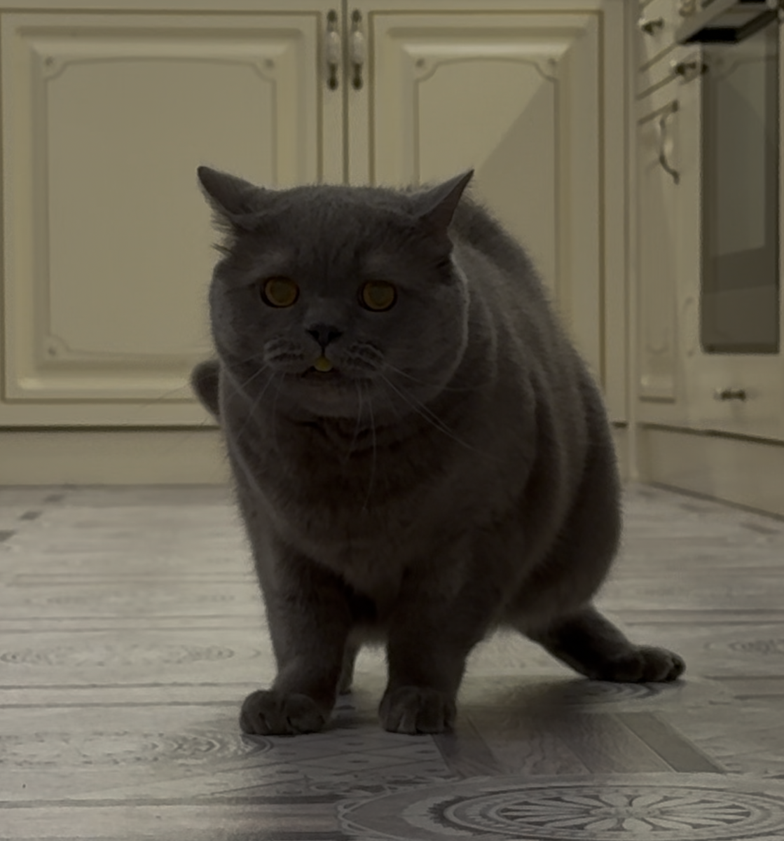 Мне нельзя, а я буду!