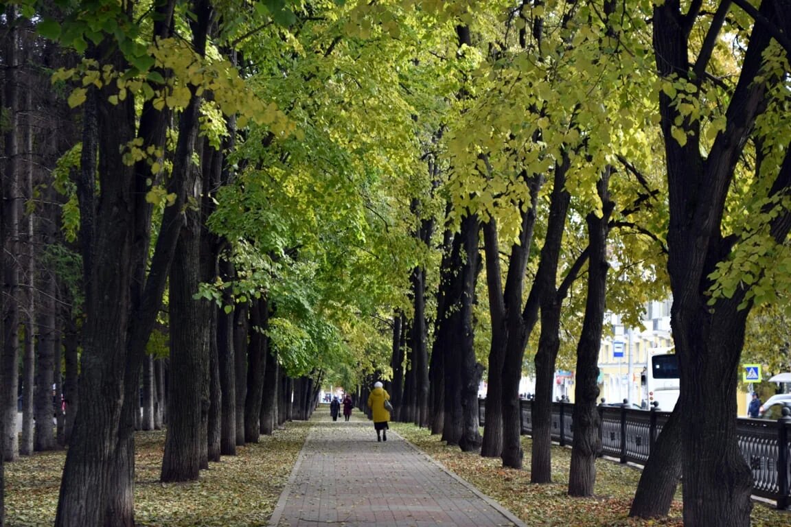 Фото: UfacityNews.ru