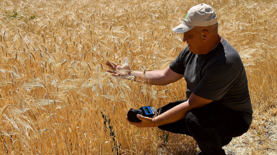 Фото: Виктор Коротаев / Коммерсантъ