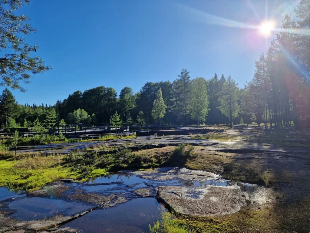 Фото: Беломорские петроглифы (Источник – Арктический век)