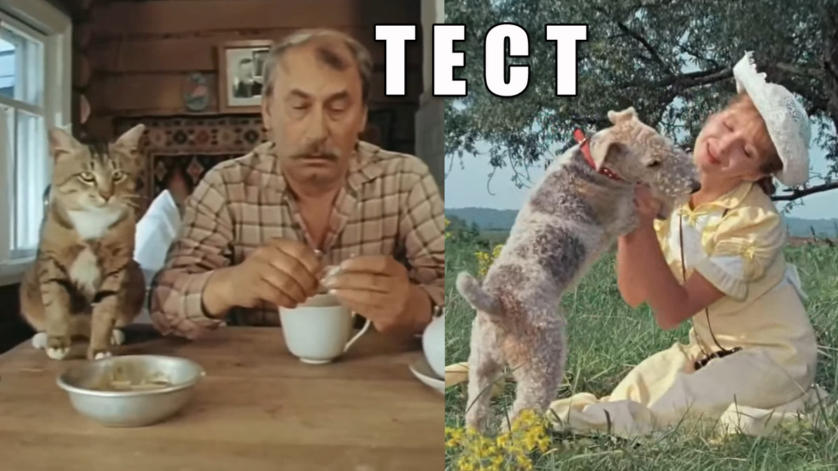 Тест: «Братья наши меньшие» в советском кино, 12 вопросов из СССР