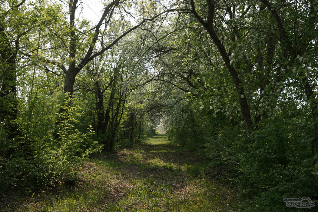    Фото: Лидия Аникина © ИА «Уральский меридиан»