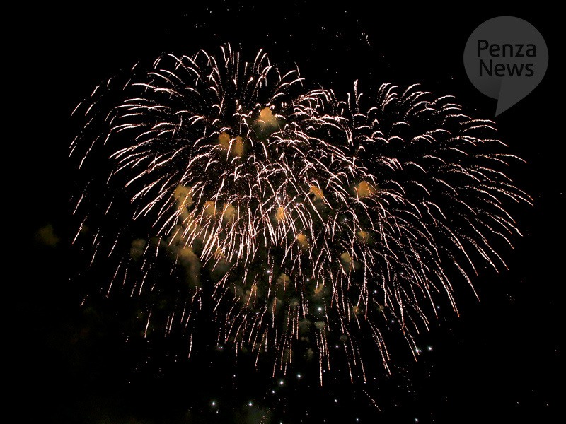    © Фото из архива ИА «PenzaNews»