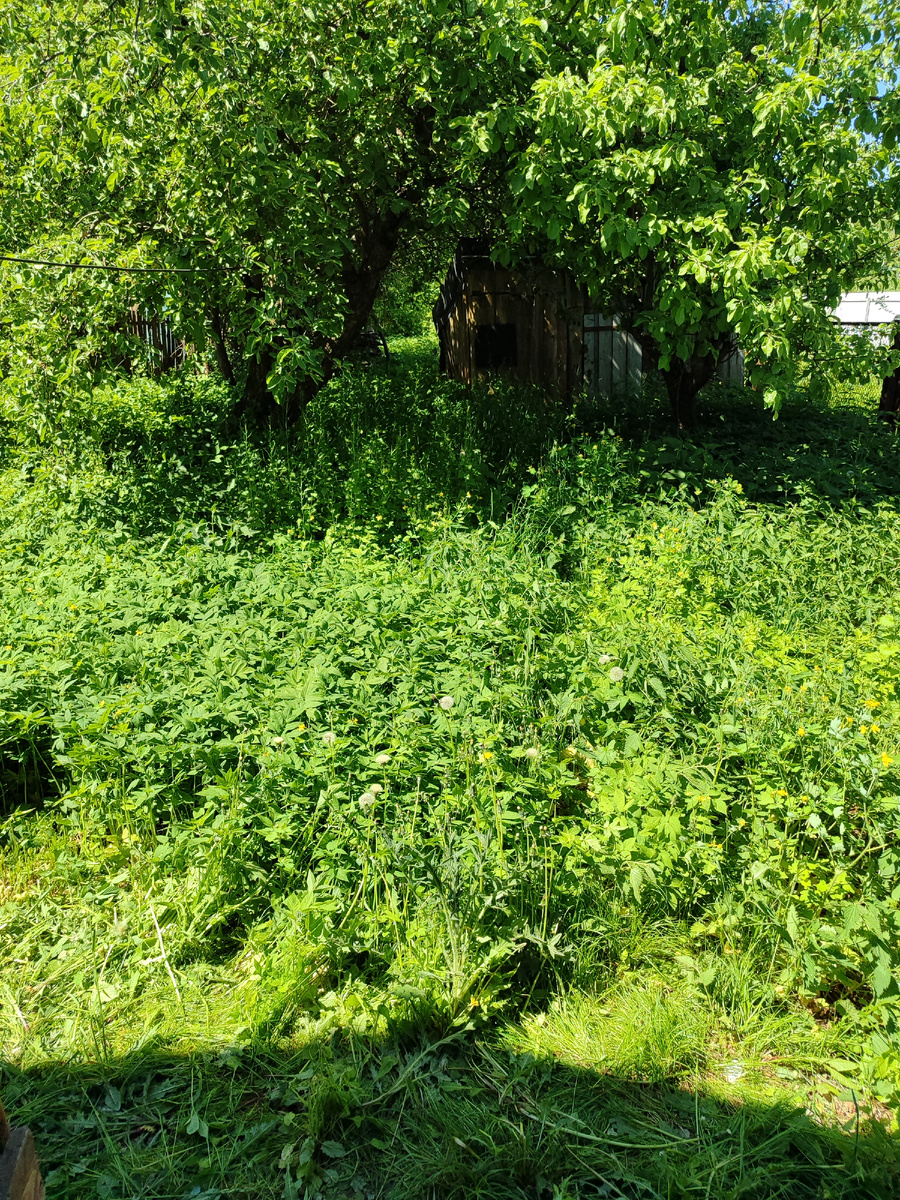 фото автора➡➡➡листайте дальше