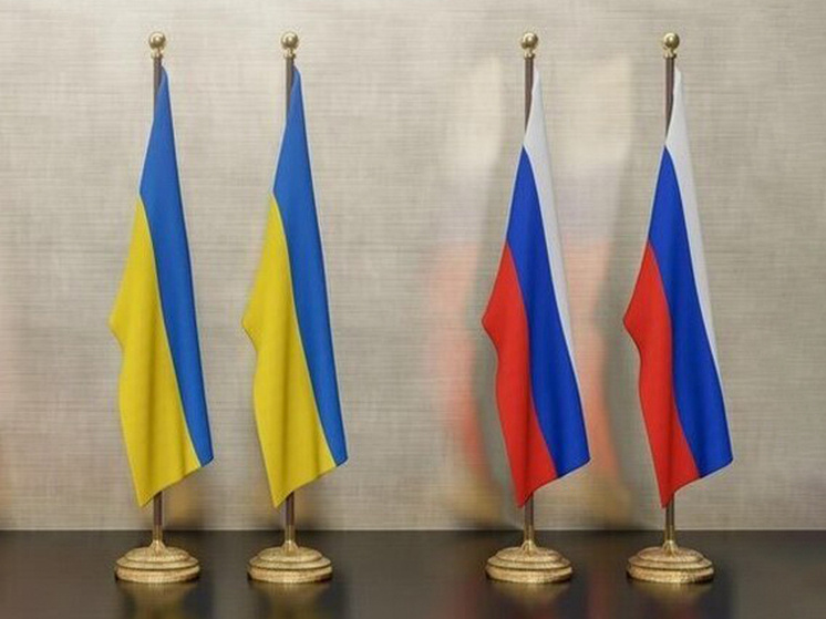 Фото: freepik.com
