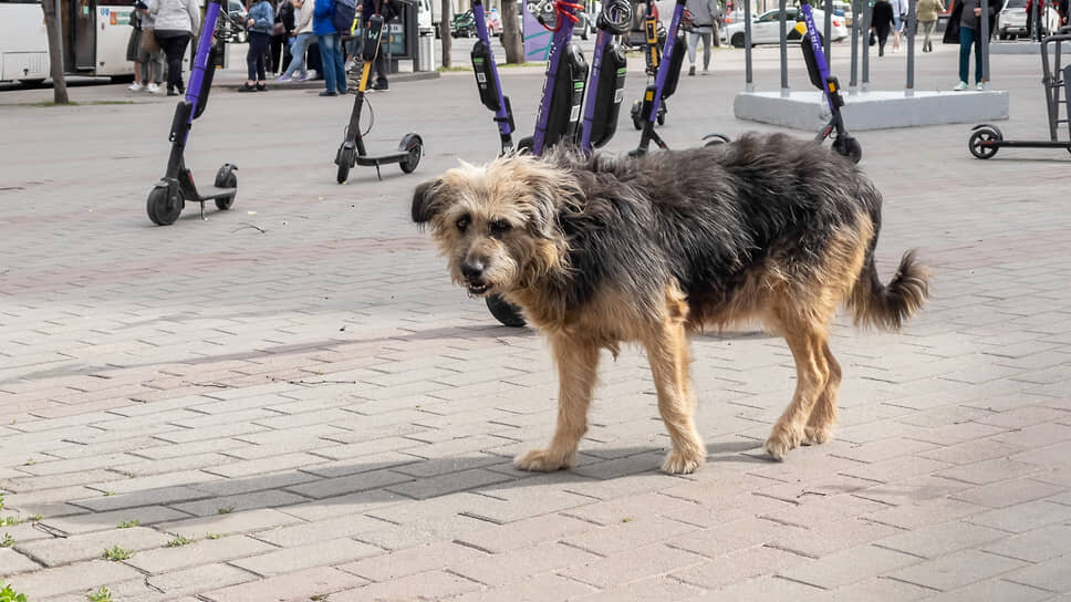 Фото: Игорь Елисеев / Коммерсантъ