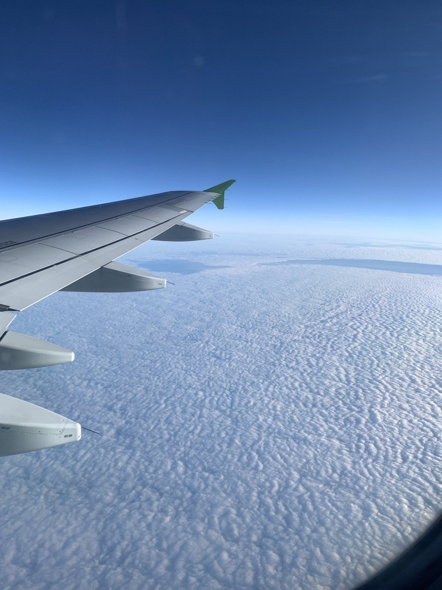 Кристина Тарасова 