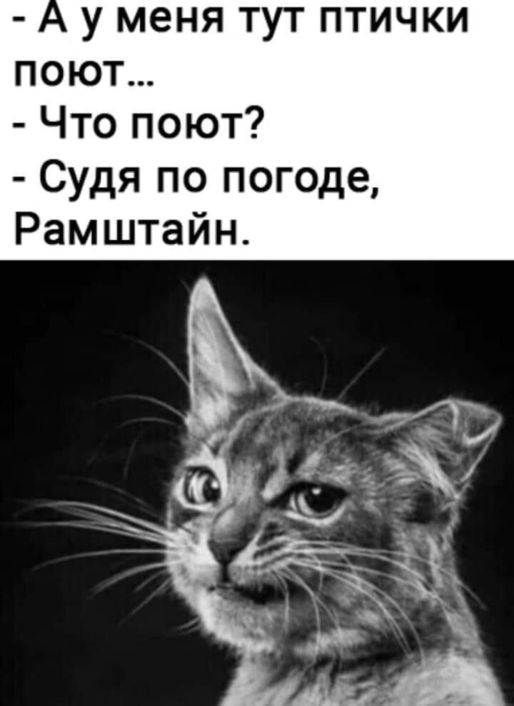 Фото из интернета.