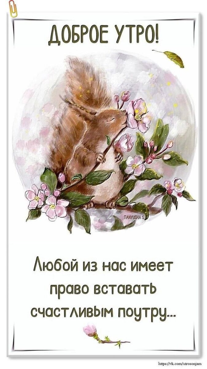 Фото из интернета.